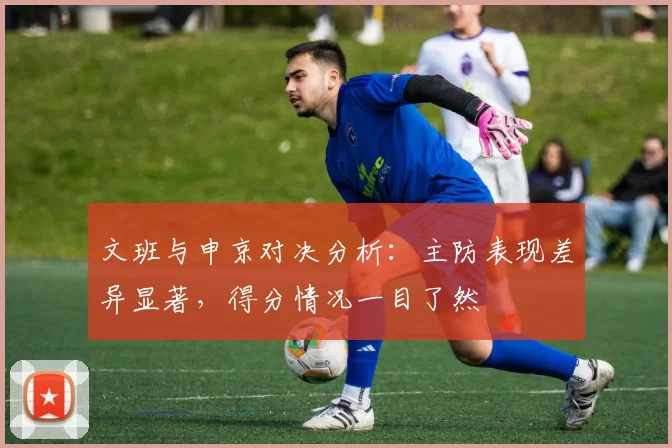 文班与申京对决分析：主防表现差异显著，得分情况一目了然